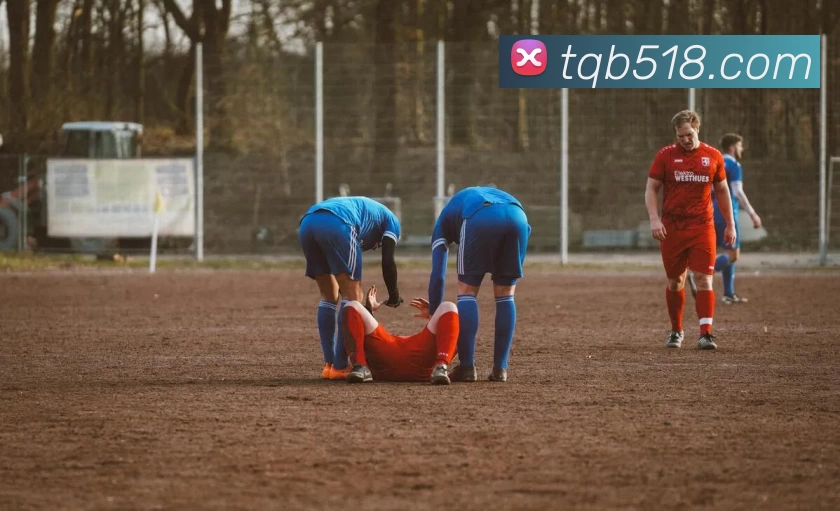 谈球吧官网平台生态图